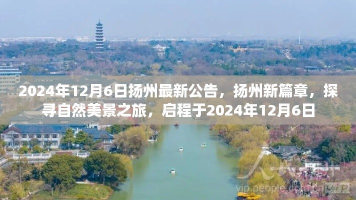 揚州新篇章啟程，探尋自然美景之旅的最新公告（2024年12月6日）