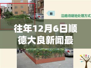 順德大良?xì)v年十二月六日新聞回顧與影響深度探析，最新消息一覽