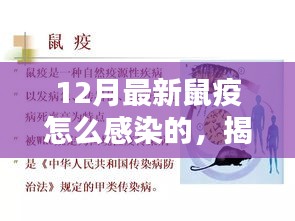 揭秘最新鼠疫感染途徑與預(yù)防措施，預(yù)防勝于恐慌