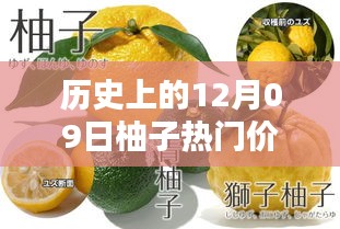 揭秘柚子歷史價格，柚子價格查詢?nèi)ヂ裕ㄟm合初學者與進階用戶）