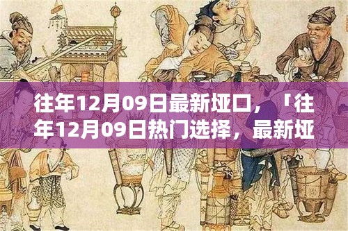 往年12月09日最新埡口產(chǎn)品評(píng)測(cè)與介紹，熱門選擇詳解