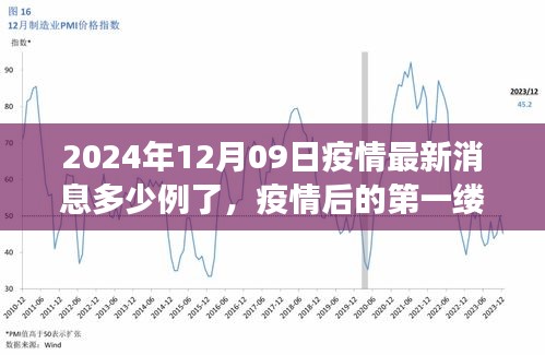 疫情最新消息下的自然美景之旅，啟程尋找內(nèi)心的寧靜港灣（2024年12月09日）