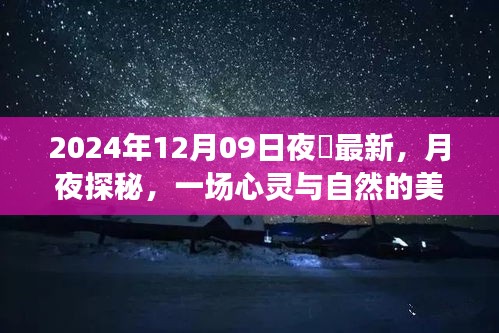 月夜探秘，心靈與自然的邂逅——記2024年12月09日夜廻之旅