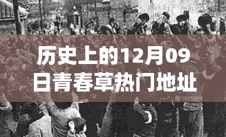 探尋青春草熱門地址背后的文化現(xiàn)象與青春記憶，歷史視角下的12月09日回顧