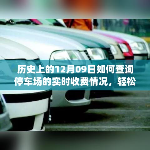 如何查詢停車場實(shí)時(shí)收費(fèi)情況？詳細(xì)步驟指南（歷史上的12月09日版）