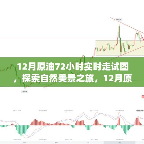 揭秘原油走勢圖背后的故事，探尋自然美景之旅的實(shí)時追蹤報告