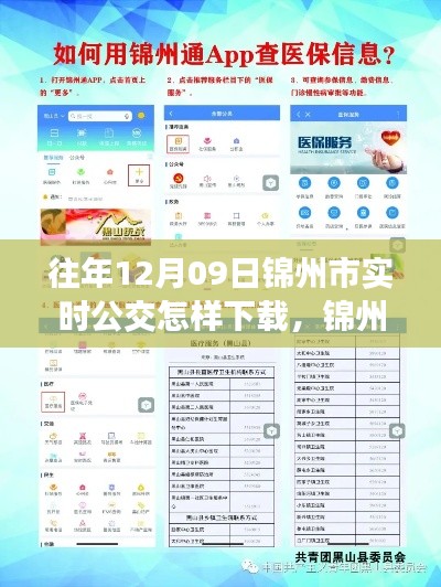 錦州市實時公交查詢APP下載指南，以往年12月09日為例的教程分享