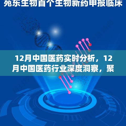 聚焦實時分析，探尋中國醫(yī)藥行業(yè)深度洞察與發(fā)展之路