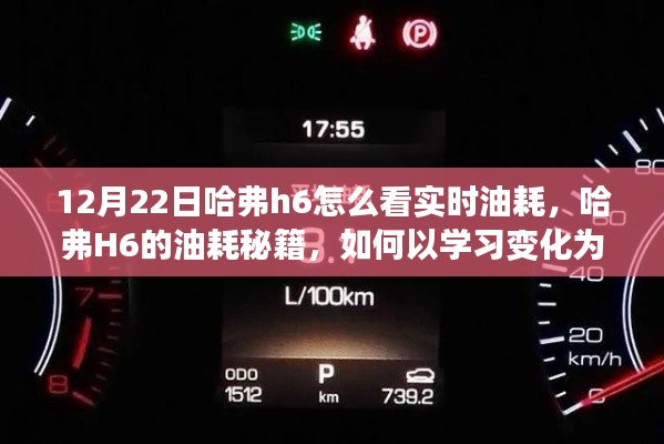 哈弗H6實時油耗秘籍，學習變化為燃料，駛向自信彼岸的指南