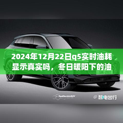 冬日暖陽下的真相探尋，2024年Q5實(shí)時(shí)油耗顯示的可信度與友情之旅