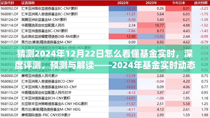 揭秘2024年基金實時動態(tài)洞察系統(tǒng)，深度評測、預(yù)測與解讀的未來趨勢