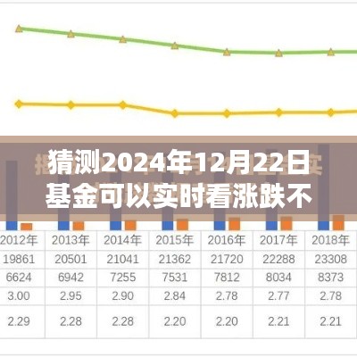 2024年12月22日基金實(shí)時(shí)漲跌預(yù)測攻略，掌握未來走勢，初學(xué)者與進(jìn)階用戶必讀