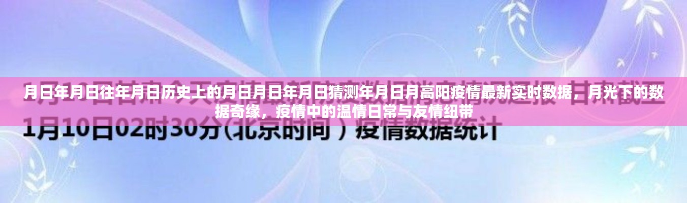 月高陽疫情最新實(shí)時(shí)數(shù)據(jù)與月光下的數(shù)據(jù)奇緣，歷史視角下的溫情日常與友情紐帶