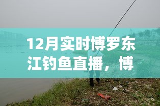 博羅東江畔的釣魚盛宴，12月實(shí)時釣魚直播開啟！