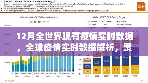 全球疫情實(shí)時(shí)數(shù)據(jù)解析，聚焦12月疫情動(dòng)態(tài)與動(dòng)態(tài)變化