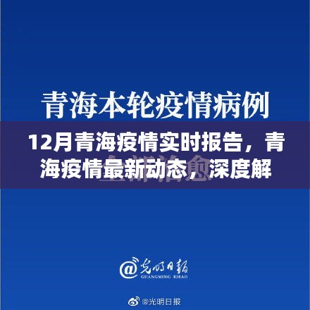 青海疫情深度解析，十二月實(shí)時(shí)報(bào)告與最新動(dòng)態(tài)