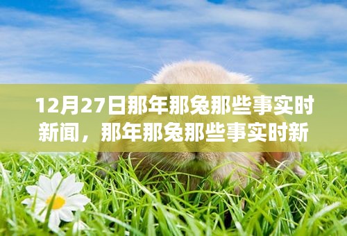 那年那兔時(shí)事新聞追蹤解讀指南，從初學(xué)者到進(jìn)階用戶的步驟指南