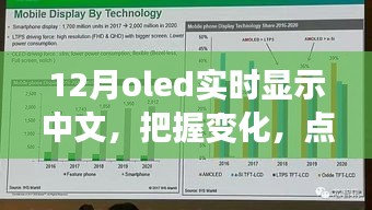 12月OLED中文實時顯示，把握變化，點亮未來——展現(xiàn)你的中文魅力