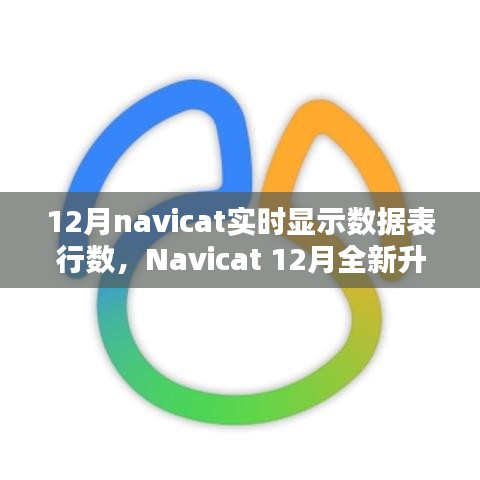 Navicat 12月升級亮點，實時數(shù)據(jù)表行數(shù)顯示，科技助力數(shù)據(jù)管理便捷性