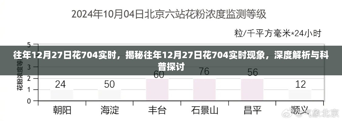 揭秘與深度解析，往年12月27日花704實(shí)時(shí)現(xiàn)象探討