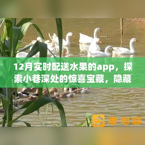 探索小巷深處的鮮果寶藏，12月實時配送水果APP驚喜上線