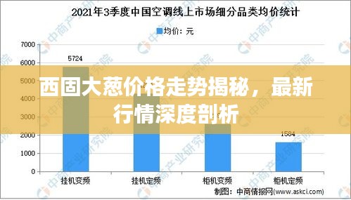 西固大蔥價格走勢揭秘，最新行情深度剖析