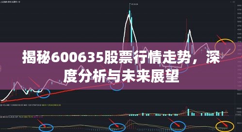 揭秘600635股票行情走勢，深度分析與未來展望