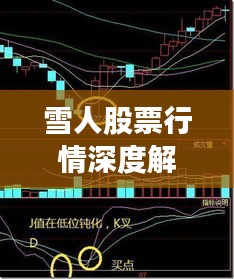 雪人股票行情深度解析，最新價(jià)格走勢(shì)與投資建議