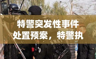 特警突發(fā)性事件處置預(yù)案，特警執(zhí)勤突發(fā)事件視頻 