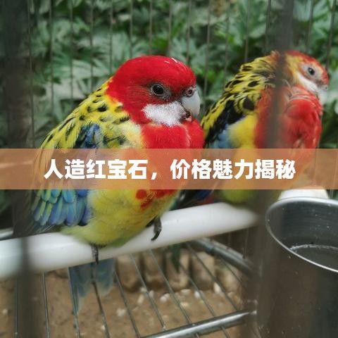 人造紅寶石，價(jià)格魅力揭秘