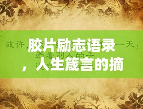 膠片勵(lì)志語錄，人生箴言的摘抄與啟示