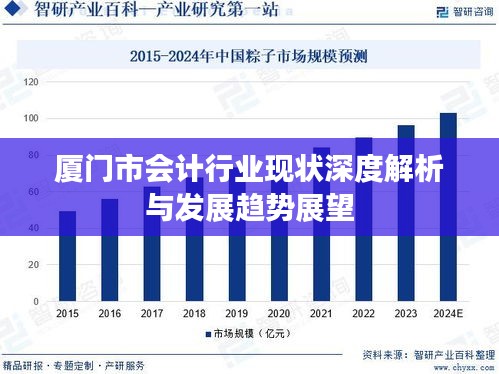 廈門市會(huì)計(jì)行業(yè)現(xiàn)狀深度解析與發(fā)展趨勢展望