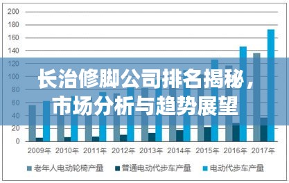 長治修腳公司排名揭秘，市場分析與趨勢展望