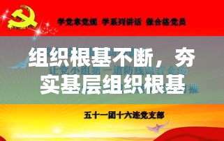 組織根基不斷，夯實基層組織根基 