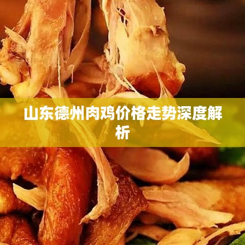 山東德州肉雞價(jià)格走勢深度解析