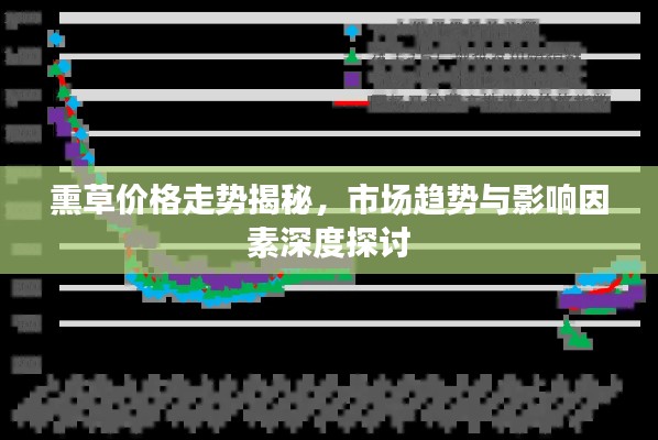 熏草價格走勢揭秘，市場趨勢與影響因素深度探討