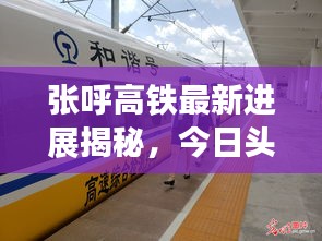 張呼高鐵最新進(jìn)展揭秘，今日頭條新聞報道獨家速遞