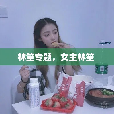 林笙專題，女主林笙 