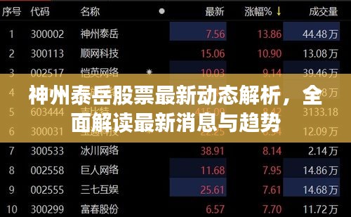 神州泰岳股票最新動(dòng)態(tài)解析，全面解讀最新消息與趨勢