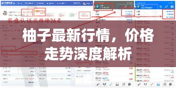 柚子最新行情，價格走勢深度解析