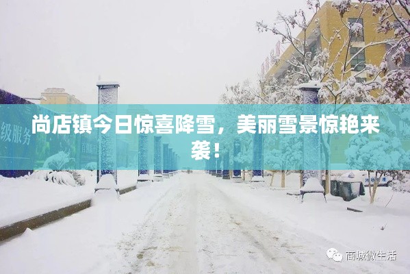 尚店鎮(zhèn)今日驚喜降雪，美麗雪景驚艷來襲！