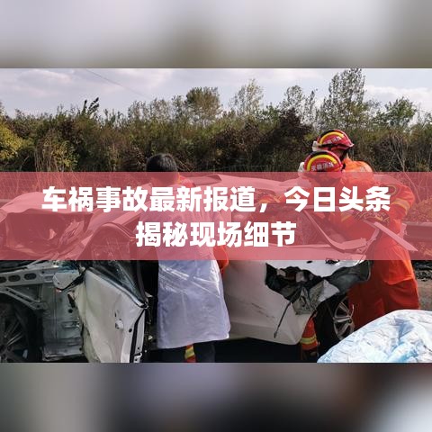 車禍事故最新報道，今日頭條揭秘現(xiàn)場細節(jié)