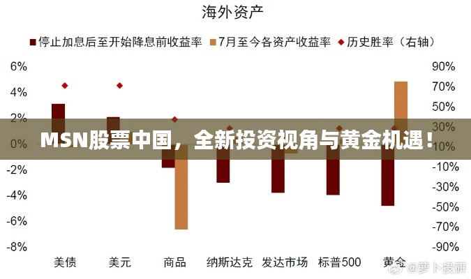 MSN股票中國，全新投資視角與黃金機(jī)遇！