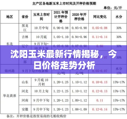 沈陽玉米最新行情揭秘，今日價(jià)格走勢分析