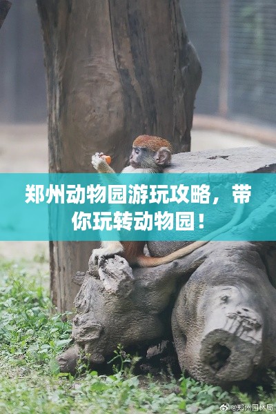 鄭州動物園游玩攻略，帶你玩轉動物園！