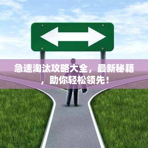 急速淘汰攻略大全，最新秘籍，助你輕松領(lǐng)先！