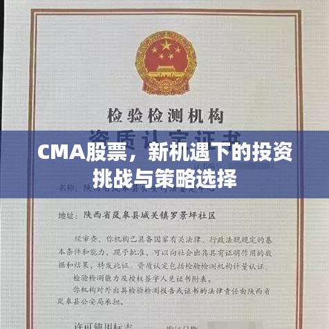 CMA股票，新機(jī)遇下的投資挑戰(zhàn)與策略選擇