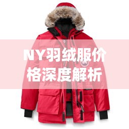 NY羽絨服價(jià)格深度解析，了解真實(shí)價(jià)格，選購(gòu)更明智！