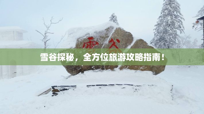 雪谷探秘，全方位旅游攻略指南！