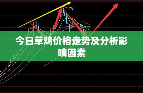 今日草雞價(jià)格走勢及分析影響因素